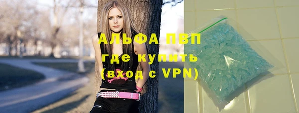 прущие грибы Михайловка