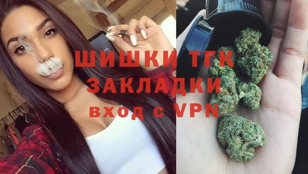прущие грибы Михайловка