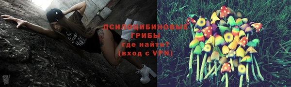 бошки Михайлов